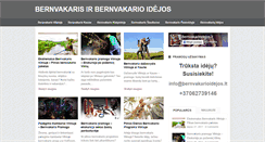 Desktop Screenshot of bernvakarioidejos.lt
